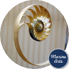 Nautilus Natural - Centre Cut - AAA Feature